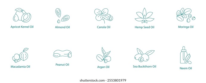 Exotic and Nutritional Oils Vector Icon Set: Apricot Kernel, Almond, Canola, Hemp, Moringa, Macadamia, Pine Nut, Peanut, Argan, Sea Buckthorn, Neem