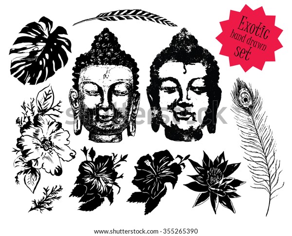 Exotic Objects Black White Set Hand Stock Vector Royalty Free 355265390 shutterstock