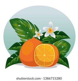 exotic orange fruit with exotic leaves