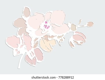Exotic orchid flower.  Bohemia concept for invitation card, ticket, branding, boutique logo, label, emblem. Vector illustration