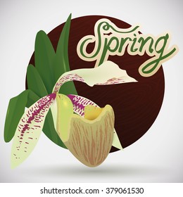 Exotic orchid on rounded wooden button and Spring text in white background.