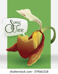 Exotic orchid with a speech bubble announcing springtime.