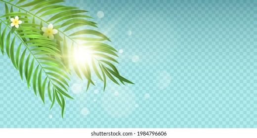 Exotic palm leaf with flowers and sunburst effect isolated on transparent background. Seasonal template for your design. EPS 10.