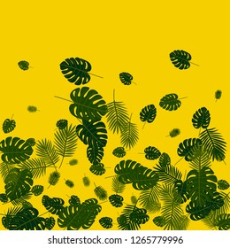 Exotic palm leaf frame. Background of tropical plants.
