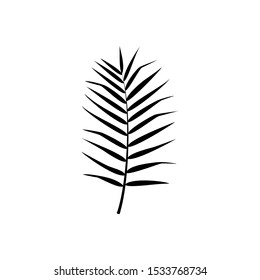 Exotic palm leaf silhouette. Vector isolated illustration with tropical leaf on white background. Can be used for printing, banners, postcard, websites, clothing, design interior.