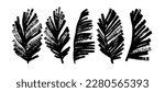 Exotic palm leaves in grunge style collection. Brush drawn tropical palm leaves isolated on white background. Handdrawn vector ink illustration with dry brush texture. Botanical tropical foliage.