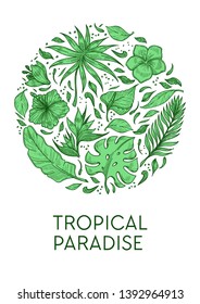 Exotic palm leaves and hibiscus flower tropical paradise poster template vector. plants or greenery calla and plumeria buds foliage wild vegetation botany and rainforests or jungle flora blossom.