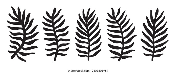 Exotic palm leaves silhouette doodle hand drawn set. grunge leaves collection. Brush botanical tropical foliage. Vector illustration