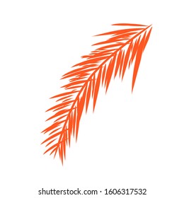 Exotic Palm Leaves Vectors for Background