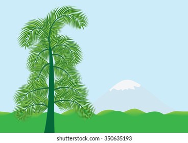 Exotic palm tree