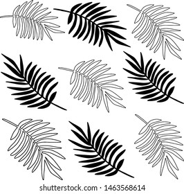 exotic palm tree branch leaf black white