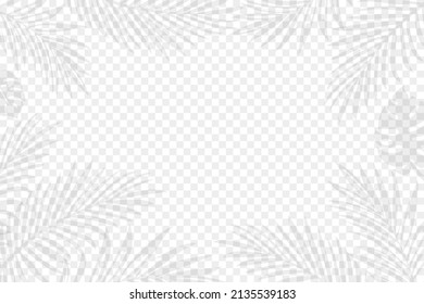 Exotic palm tree leaves on the transparent background. Editable vector illustration. EPS10.