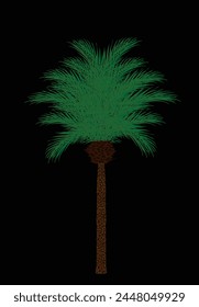 Exotic palm tree vector illustration isolated on black background. Decorative tropical garden plant.