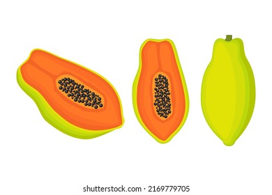 Exotic papaya vegan fruit vector flat isolated illustration. Tasty summer fruits element. Papaya taste. Colorful flat style cartoon food. Eco food. Vegetarian sweet fruit