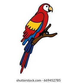 exotic parrot in branch tropical bird