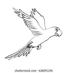 exotic parrot isolated icon