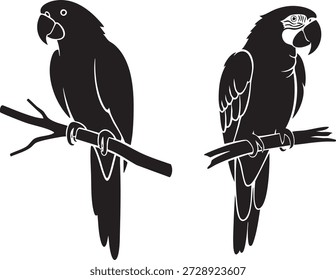 Loro exótico en el conjunto de Ilustración vectorial de la rama: siluetas de aves tropicales para mascotas, selva y Naturaleza