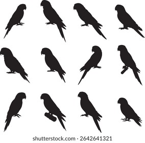 Exotic Parrot Silhouette Collection Black Bird Set