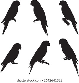 Exotic Parrot Silhouette Collection Black Bird Set