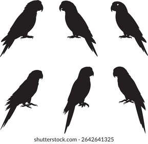 Exotic Parrot Silhouette Collection Black Bird Set