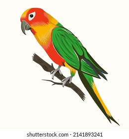 Exotic parrot sitting on branch. Tropical bird vector illustration
