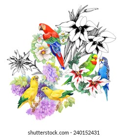 Exotic parrots and beautiful flowers on white background vector illustration