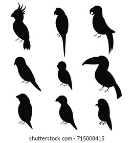Exotic parrots black silhouette vector icon set isolated on white background.