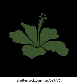 Exotic pattern with green on black tropical flowers. Blooming jungle, hibiscus. Motley vector illustration.