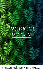 Exotic pattern with tropical leaves on a black background.