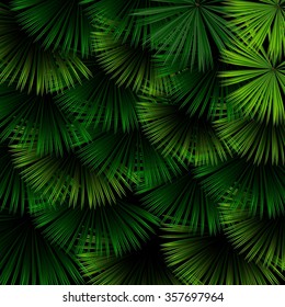 Exotic pattern with tropical leaves on a black background.vector