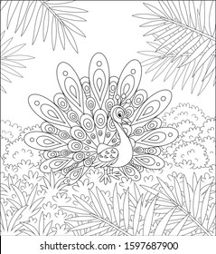 Exotic peacock with a large beautiful tail walking on grass against the tropical background of bushes and palm branches on a summer day, black and white vector cartoon illustration