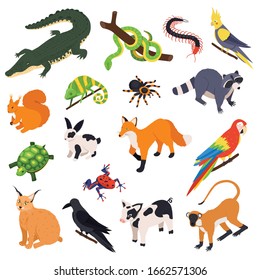 Exotic pets animals birds reptiles isometric set with snake crocodile raccoon monkey parrot fox spider vector illustration 