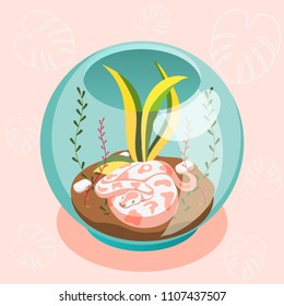 Exotic pets isometric composition with snake snake lying in glass terrarium cartoon vector illustration