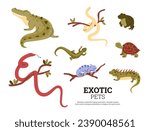 Exotic pets reptiles vector set. Green big frog and guana, turtle, chameleon and lizard on branch, crocodile and snakes. Colorful flat poster with amphibian animals
