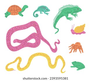 Exotic pets reptiles vector set. Spider and snail, frog and guana, turtle, chameleon and lizard, frog and snakes. Colorful cartoon amphibian animals illustration isolated on white