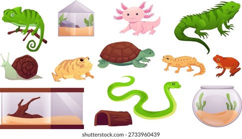 Exotic pets reptiles vector set. Cartoon turtle, frog, guana, chameleon, salamander lizard, axolotl and snake. Amphibian terrarium and aquarium animals collection