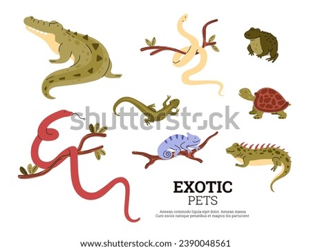 Exotic pets reptiles vector set. Green big frog and guana, turtle, chameleon and lizard on branch, crocodile and snakes. Colorful flat poster with amphibian animals