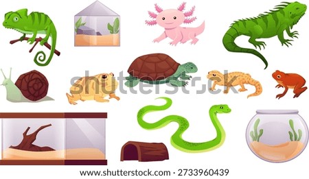 Exotic pets reptiles vector set. Cartoon turtle, frog, guana, chameleon, salamander lizard, axolotl and snake. Amphibian terrarium and aquarium animals collection