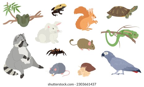 Mascotas exóticas con ilustraciones vectoriales aisladas de racoon y iguana