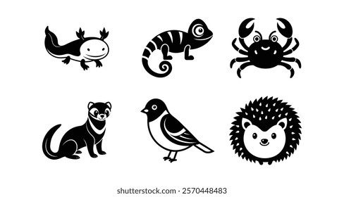 Exotic pets silhouetted on white background