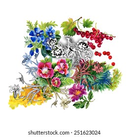 Exotic pheasants with flowers colorful pattern on white background vector illustration
