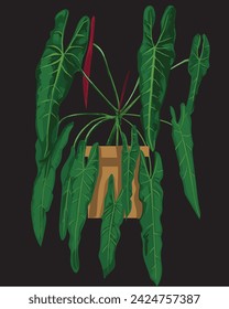 Exotic Philodendron Spiritus Sanctii Vector Illustration for Unique T-Shirt Prints