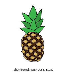 Exotic pineapple fruit. Hand drawn illustration vector.