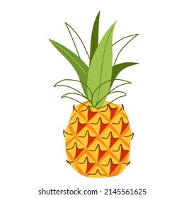 Exotic pineapple fruit in a hand-drawn style. Tropical plants. Vector illustration isolated on a white background