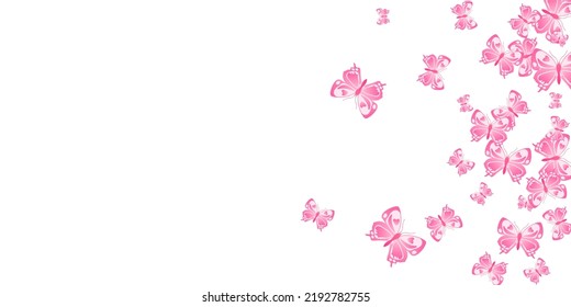 Exotic pink butterflies cartoon vector illustration. Spring funny insects. Simple butterflies cartoon girly wallpaper. Tender wings moths graphic design. Fragile creatures.