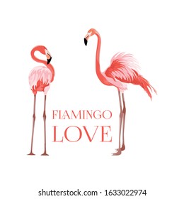 Exotic pink flamingo birds couple. Beal to beak. Heart shape. Mating season. Detailed vector design illustration isolated on white background. Valentine. T shirt print.