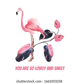 Exotic pink flamingo birds with leaves branch and motivational phrase. T-short print. Detailed vector design illustration. 