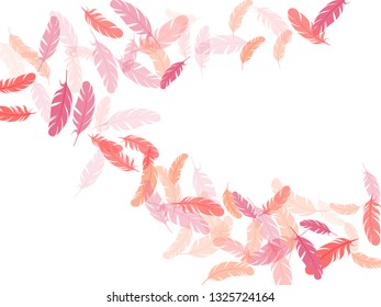 Exotic pink flamingo feathers vector background. Plumage fluff dreams symbols. Flying feather elements airy vector design. Smooth plumelet tribal ornate graphics.