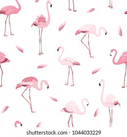 Exotic pink flamingos colony flamboyance flock feather seamless pattern on clean white background. Wading bird species realistic detailed vector design illustration. Vector design illustration.