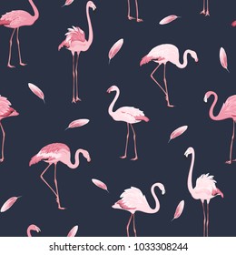 Exotic pink flamingos flock flamboyance colony and feather seamless pattern on dark blue navy background. Wading bird species realistic detailed vector design illustration.